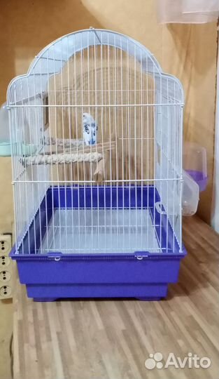 Продам клетку для птиц