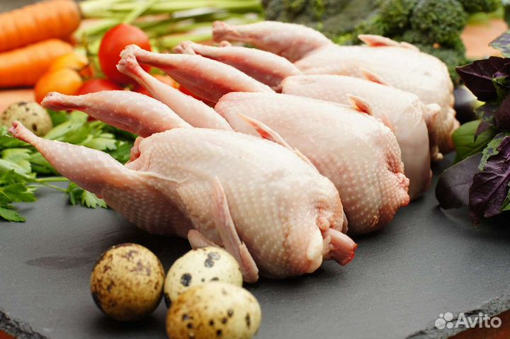 Мясо перепела