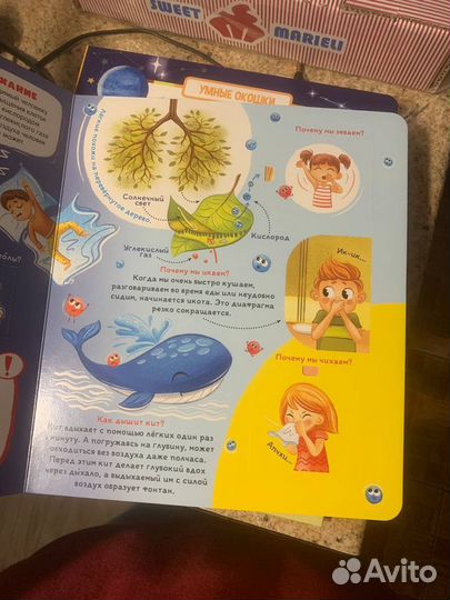 Развивающие книжки подарок азбука космос анатомия