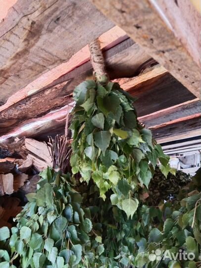 Веники березовые и дубовые для бани