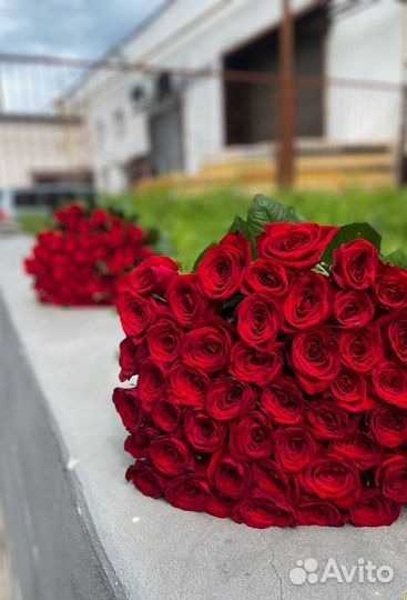 Букет свежих роз, доставка и самовывоз