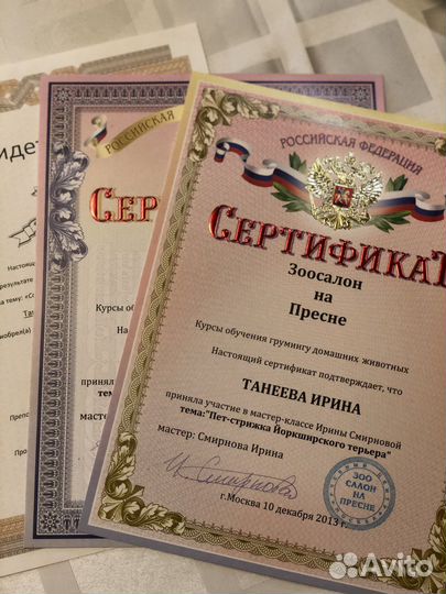 Стрижка кошек или котиков, собак. бесплатный выезд