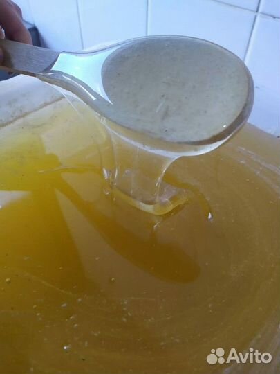 Васильковый свежий мёд опт