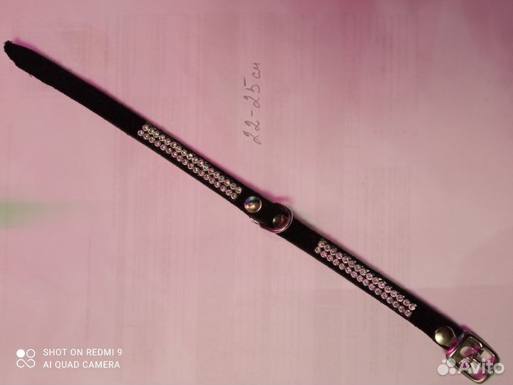 Дождевик для крупной собаки. Ошейник со стразами