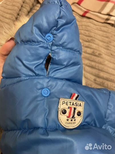 Одежда для собак