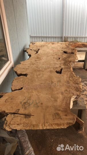 Слэб тополя