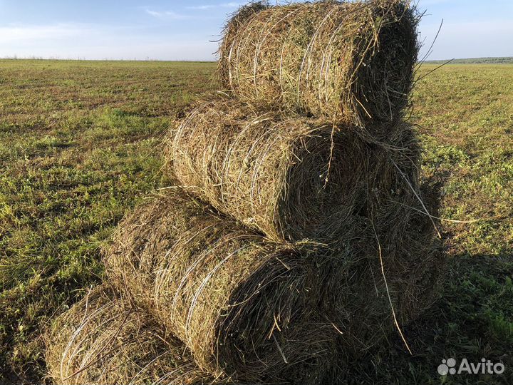 Сено в минирулонах