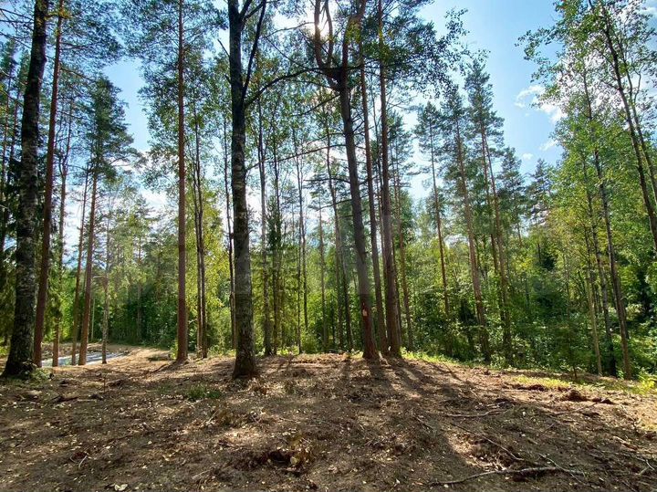 Участок 8,6 сот. (СНТ, ДНП)