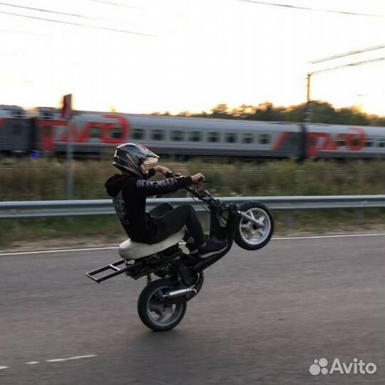 Репетитор по информатике егэ