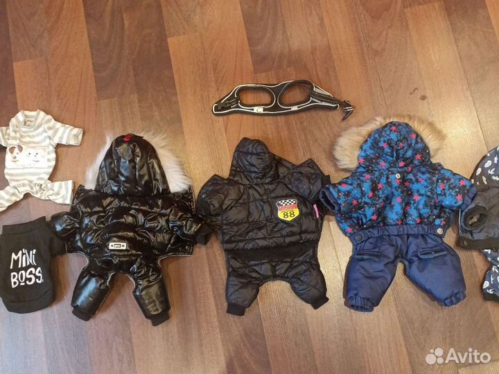 Костюм для собаки