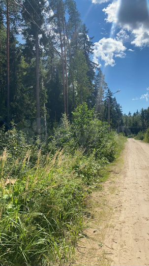 Участок 13,7 сот. (СНТ, ДНП)