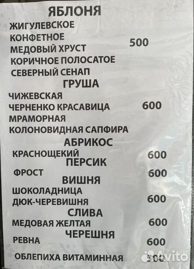 Саженцы плодовых деревьев
