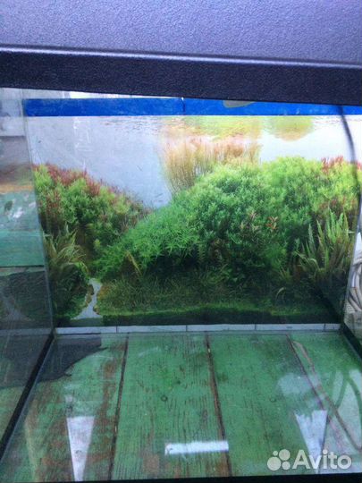 Аквариум