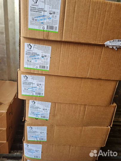 Голень кур.птицефабрика 