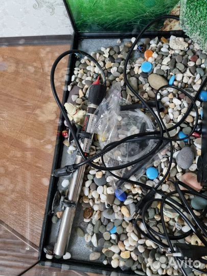 Террариум для черепахи