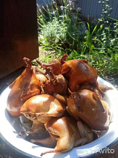 Копчёное Мясо перепелов