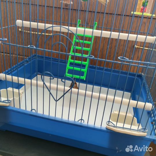 Клетка для попугая