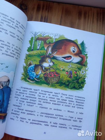 Книга для детей. Сказки. Геннадий Цыферов