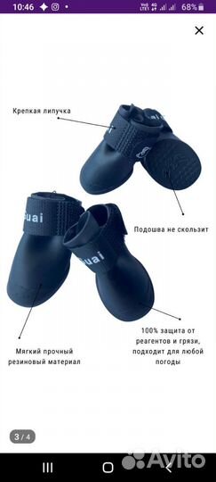 Обувь для собак