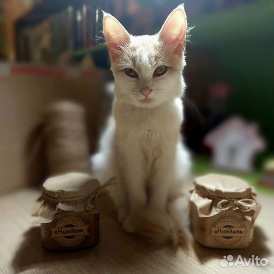 Мед с орехами