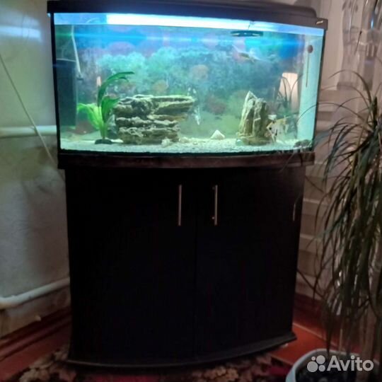 Аквариум с тумбой