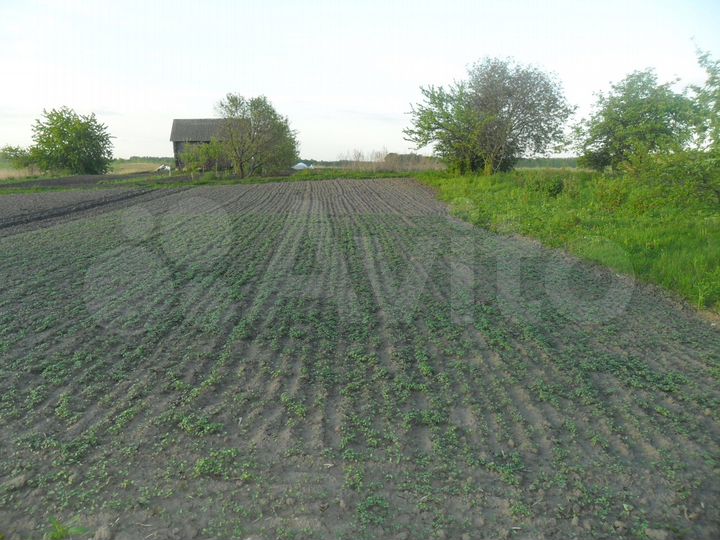 Участок 15 сот. (ИЖС)