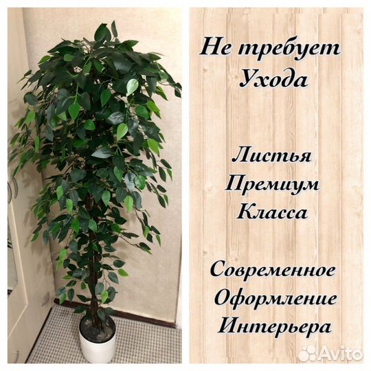 Искусственные растения для декора