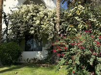 телеканал солнце телепрограмма. анастасия мельникова участок. анастасия мельникова диктор. анастасия мельникова. мельникова анастасия владимировна.