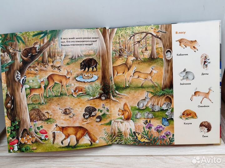 Веселые пряталки