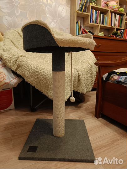 Когтеточка