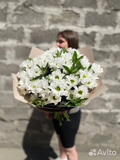 Хризантема кустовая 21 51 101 доставка самовывоз