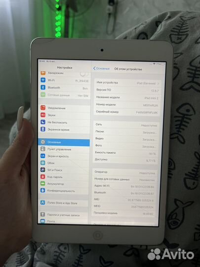 iPad mini 2