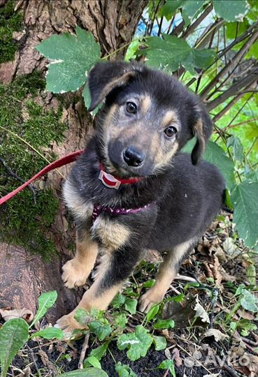 Для тех кто поймет как горько остаться одной