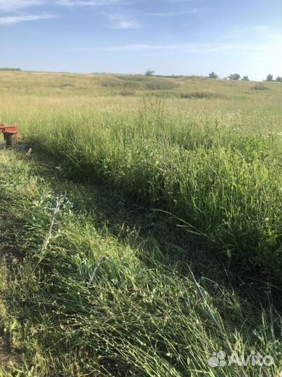 Сено в тюках с доставкой