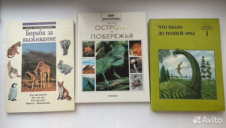 Острова и побережья, Борьба за выживание