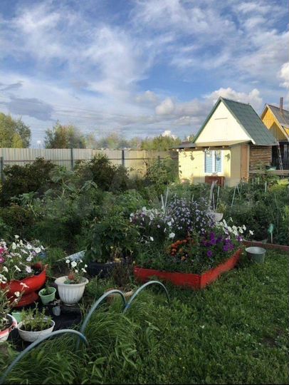 Участок 6 сот. (СНТ, ДНП)