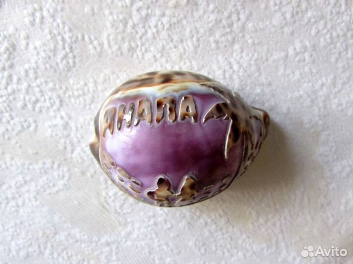 Ракушки морские. Цена за все