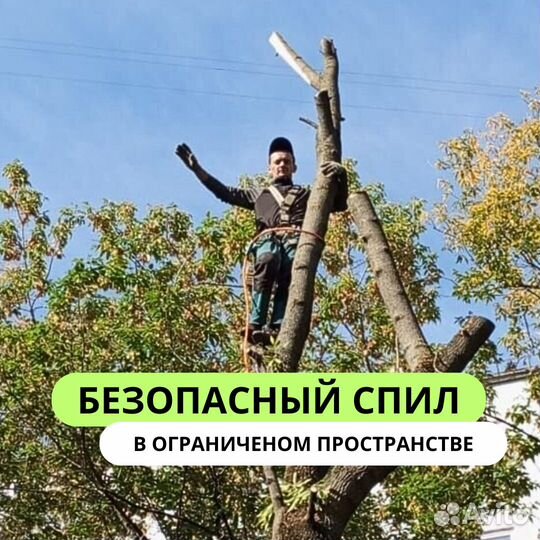 Спил деревьев обрезка веток