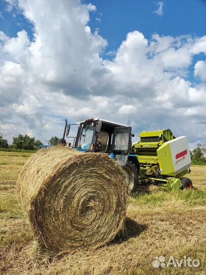 Сено луговое 2023 г. В наличии. доставка