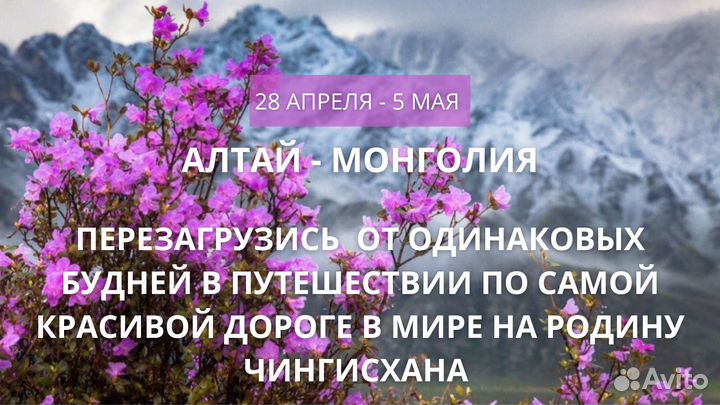 Тур на Алтай + Монголия