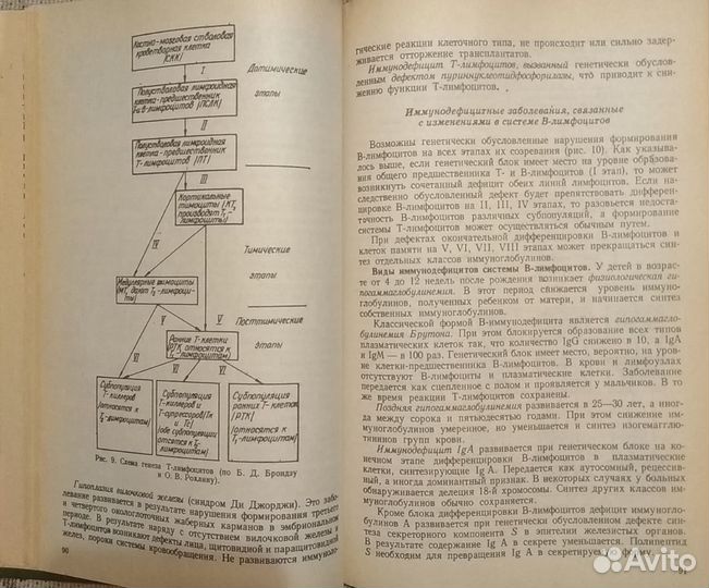 Основы общей патологии Зайчик А.Ш. и др.книги