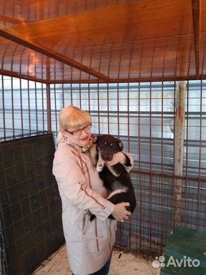 Забери меня домой