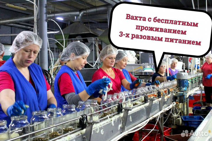 Оператор на консерв.завод в г. Славянск на Кубани