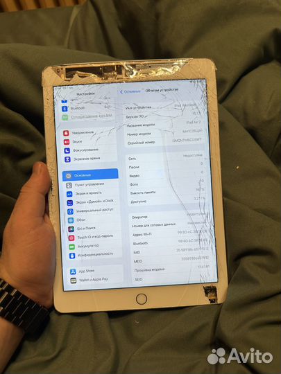 iPad Air 2 Cellular