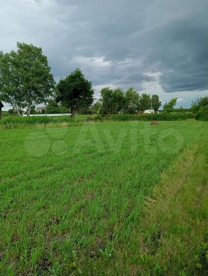 Участок 50 сот. (ИЖС)