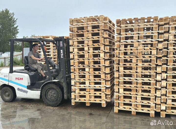 Поддоны для дачи sl491