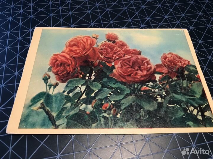 Открытки винтажные СССР 50-е, 60-е, 80-е