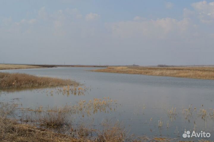 Пруд-карпятник