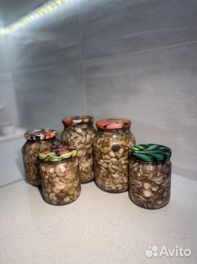 Грибы маслята маринованные