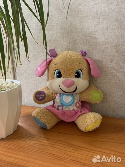 Сестричка ученого щенка Fisher price